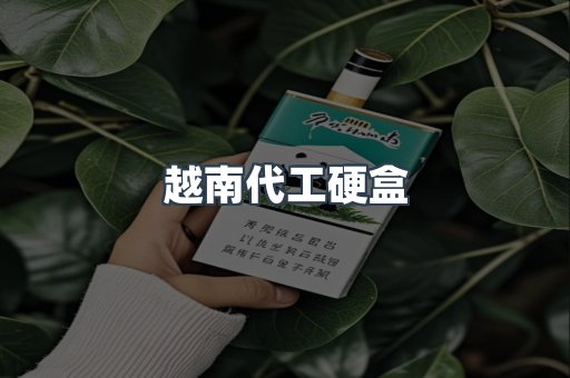 越南代工硬盒